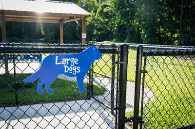 Dog Park