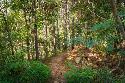 Guts Trail